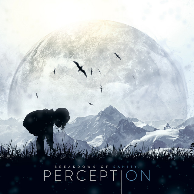 Perception album cover
