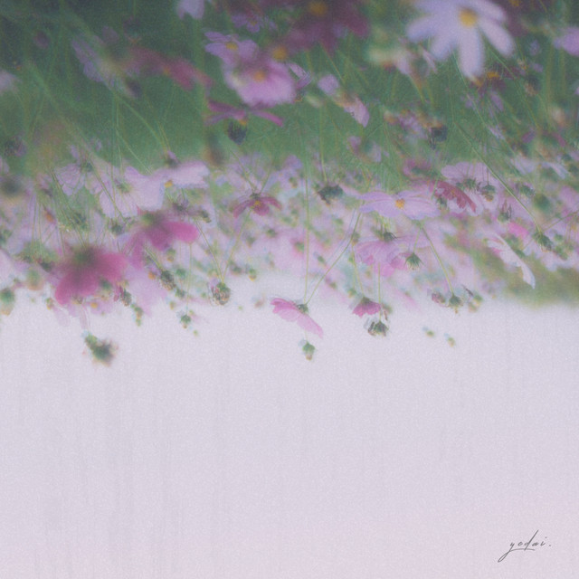 Simple Life album cover
