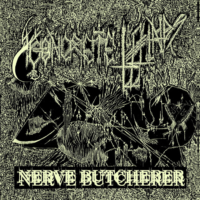Nerve Butcherer album cover