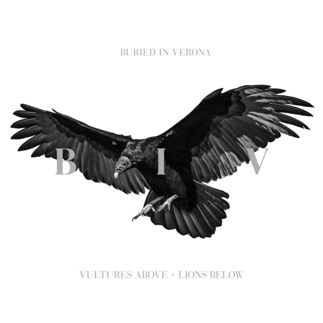 Vultures Above, Lions Below album cover