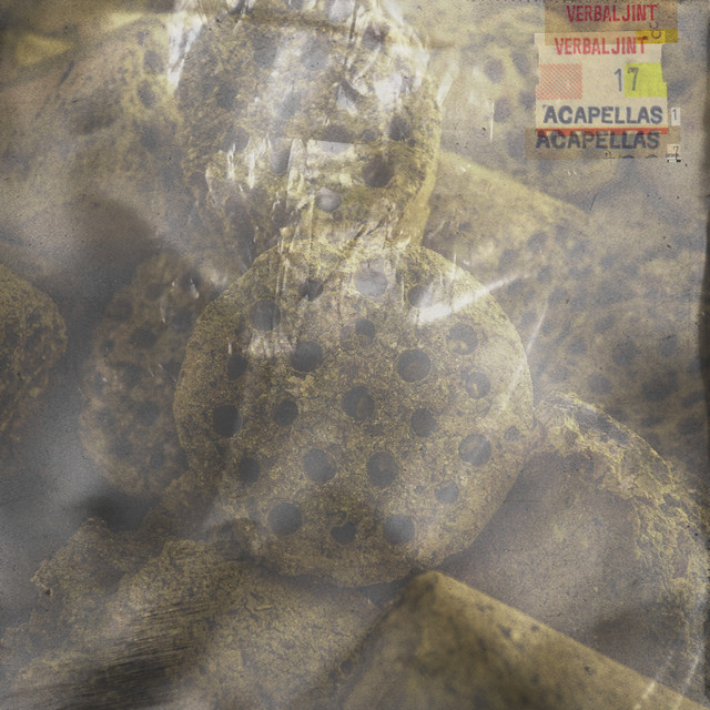 17 Acapellas album cover