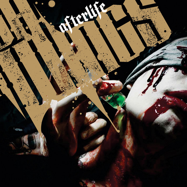 Afterlife album cover