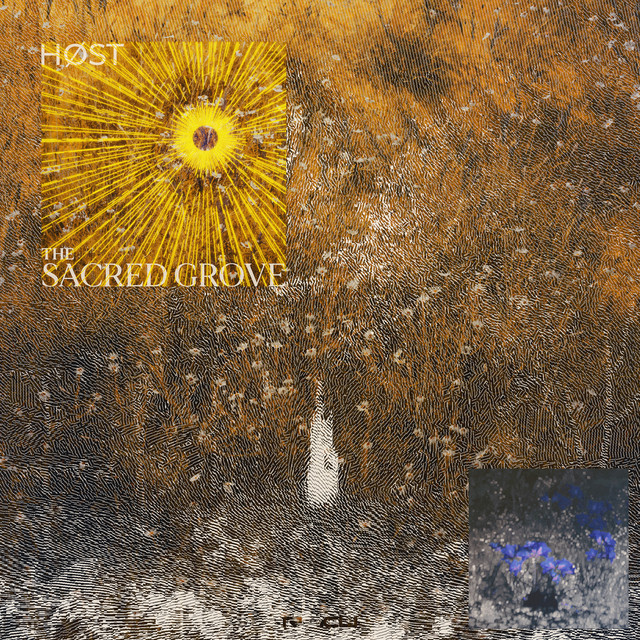 The Sacred Grove album cover