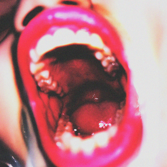 BLOODHOUND album cover