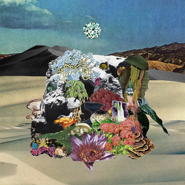 Shimmer, then Disappear album cover