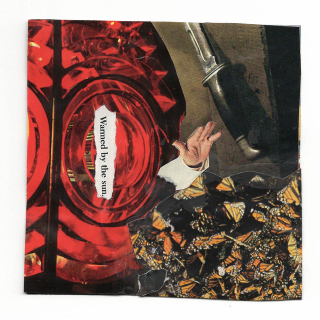 Warmed by The Sun album cover