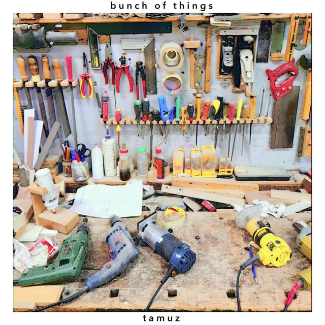 bunch of things album cover