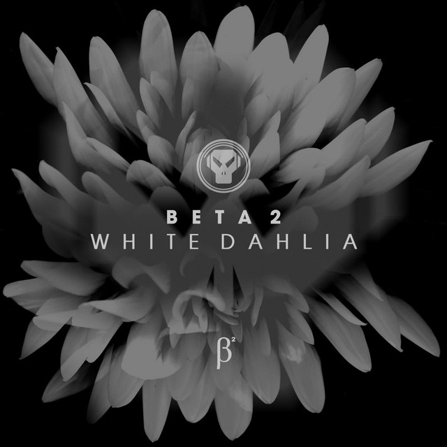 White Dahlia