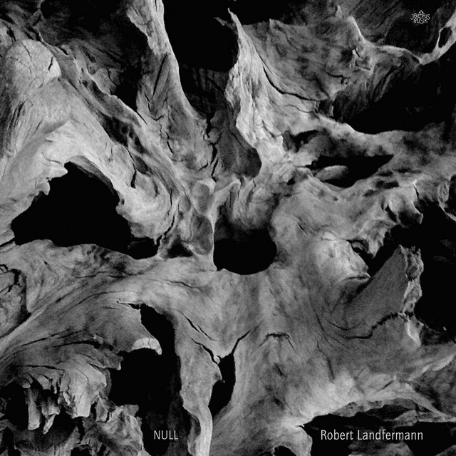Null album cover