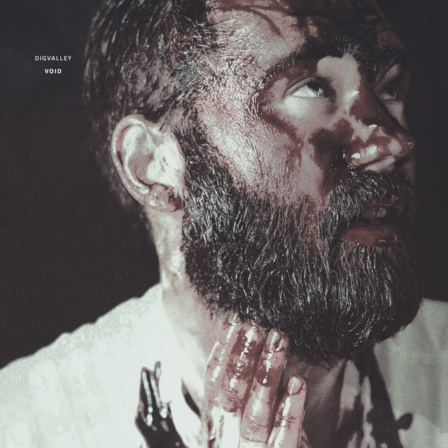 Void album cover