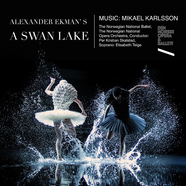 A Swan Lake (feat. Norwegian National Opera Orchestra & Per Kristian Skalstad) album cover
