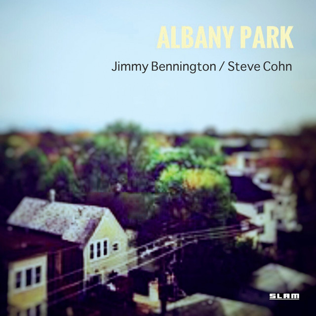 Albany Park album cover