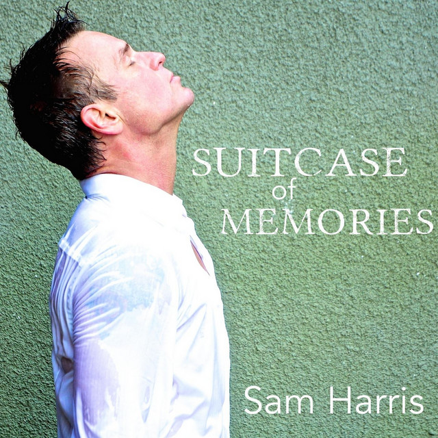 Suitcase of Memories album cover