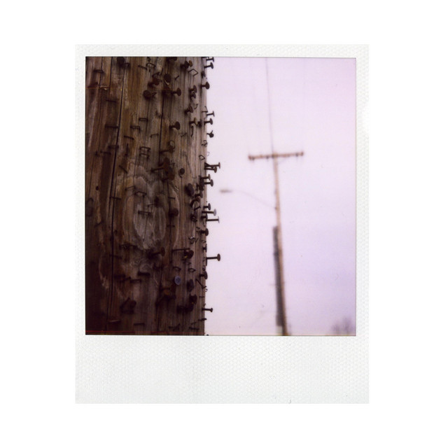 TCR/CP REDUX album cover