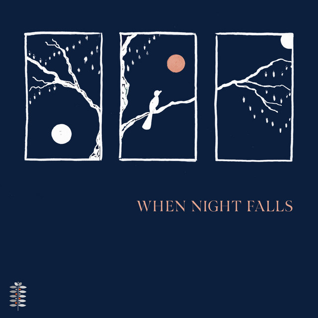 When Night Falls album cover