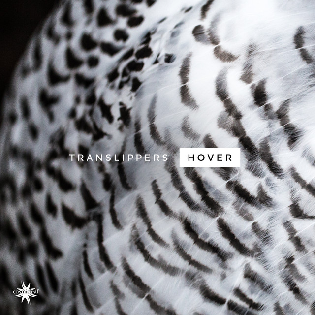 Hover album cover