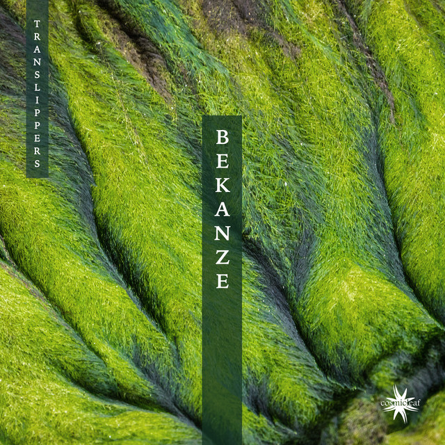 Bekanze album cover