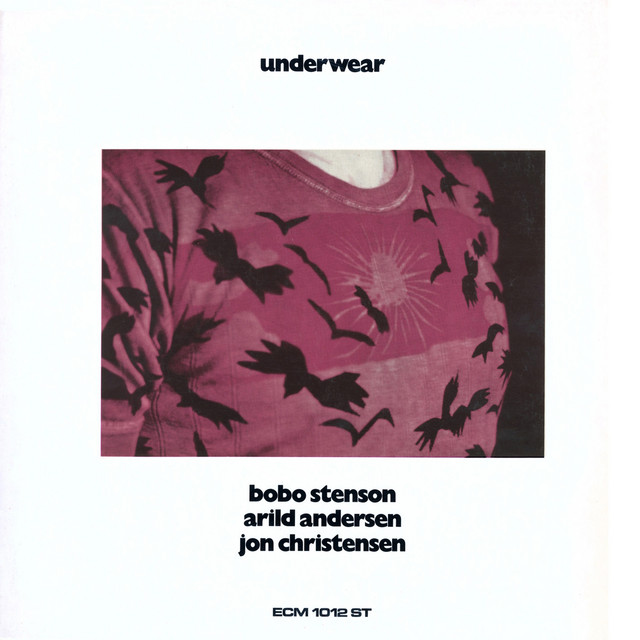 Underwear album cover