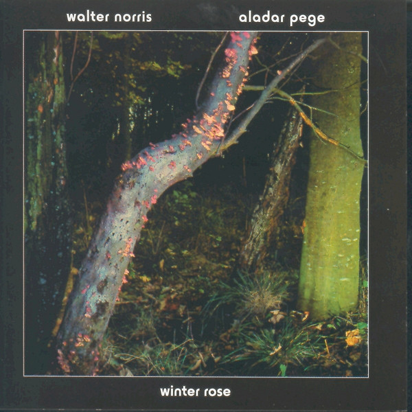 Winter Rose album cover