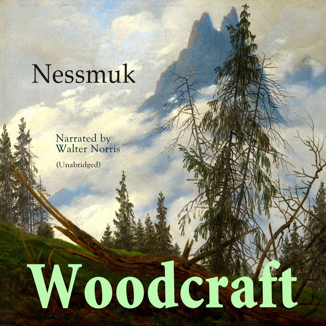 Woodcraft album cover