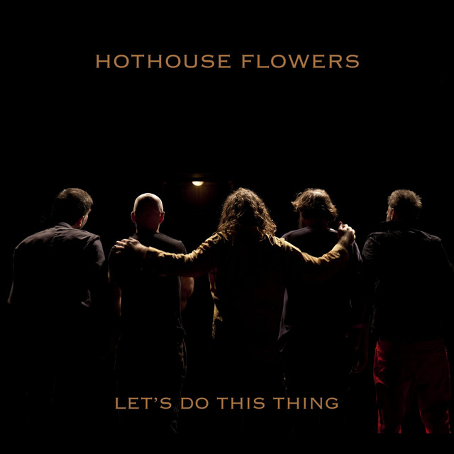Let's Do This Thing album cover