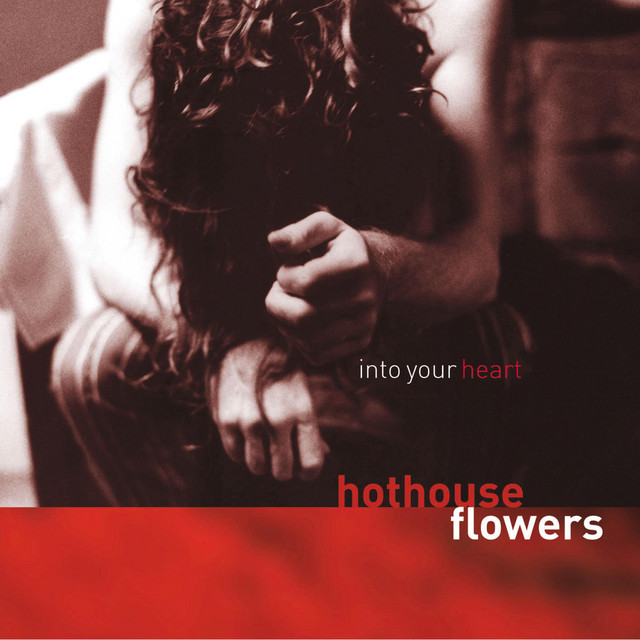 Into Your Heart album cover