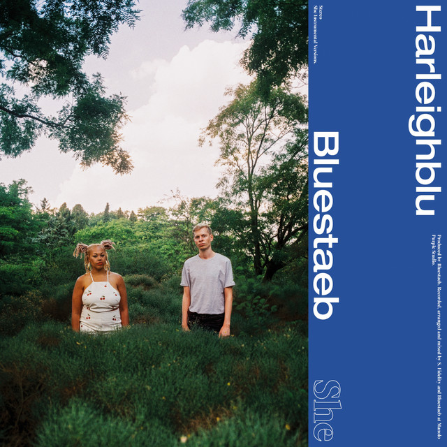 She (Instrumentals) album cover