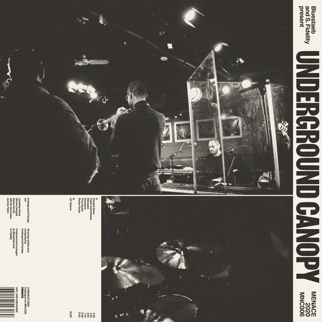 Bluestaeb and S. Fidelity Present Underground Canopy album cover