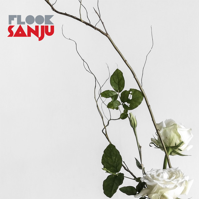 Sanju album cover