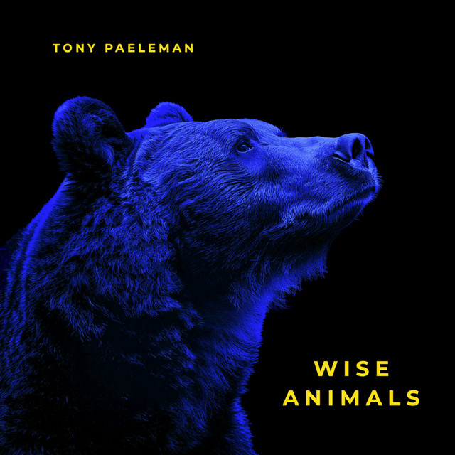Wise Animals album cover