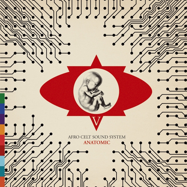 Anatomic album cover