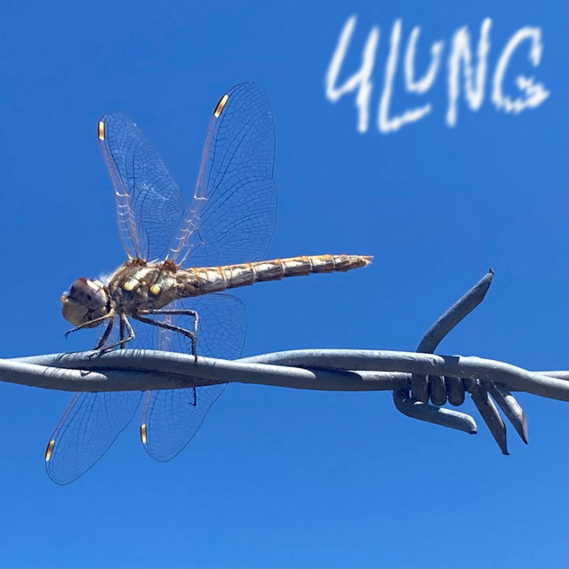Barbed Wire Dragonfly album cover