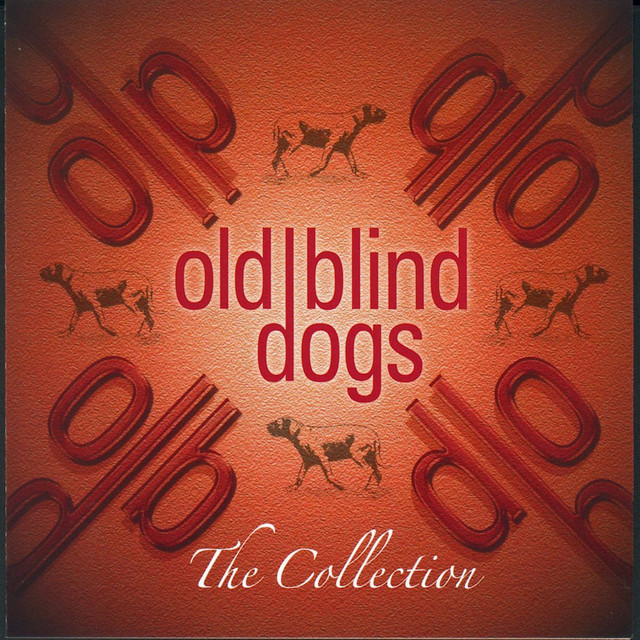The Collection album cover