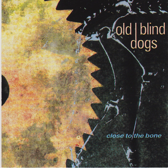 Close to the Bone album cover