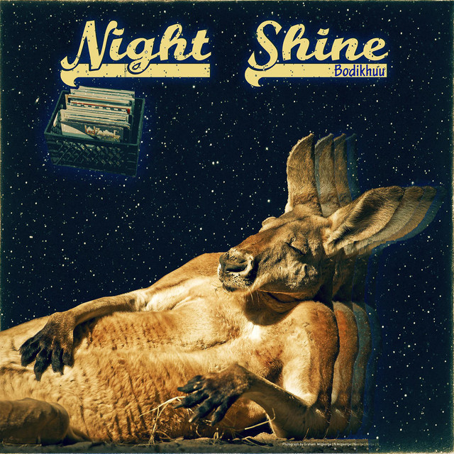 Night Shine album cover