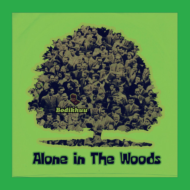 Alone in the Woods album cover