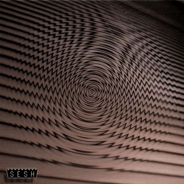 sarcinarious album cover