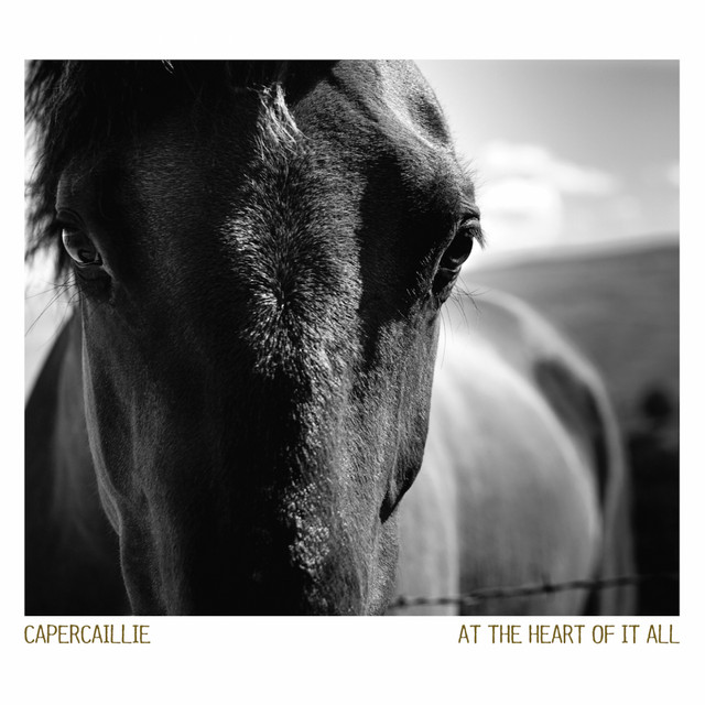 At the Heart of It All album cover