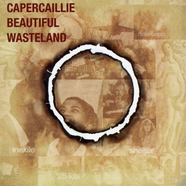 Beautiful Wasteland album cover