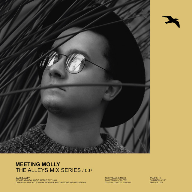 THE ALLEYS MIX SERIES 007 (DJ Mix) album cover