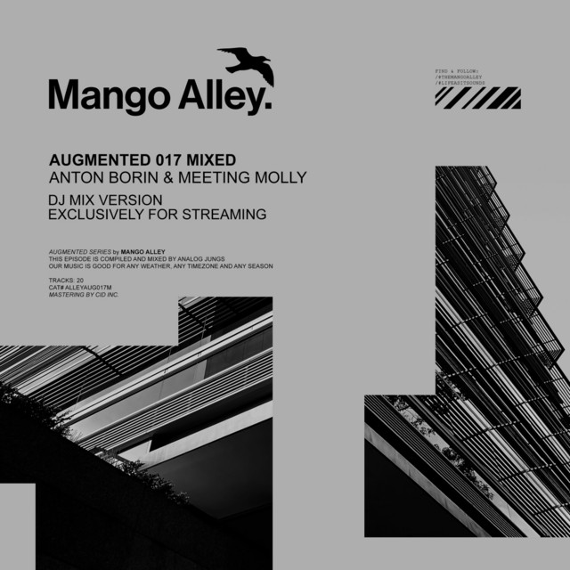 Augmented 017 / Anton Borin & Meeting Molly (DJ Mix) album cover