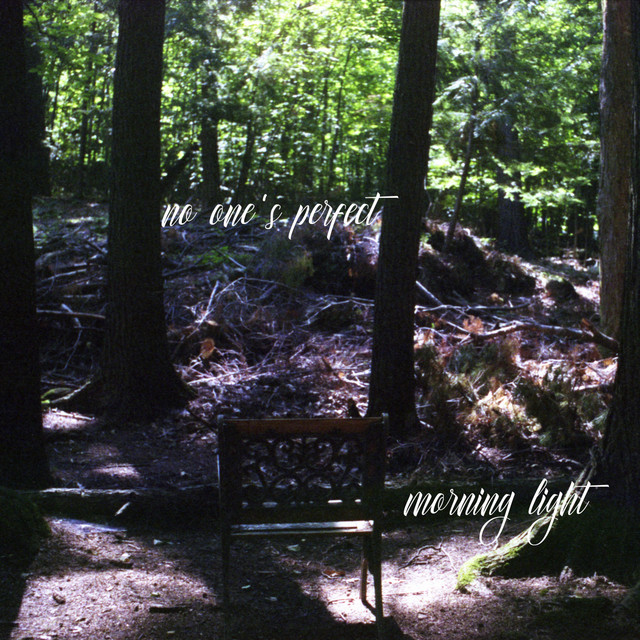 Morning Light album cover