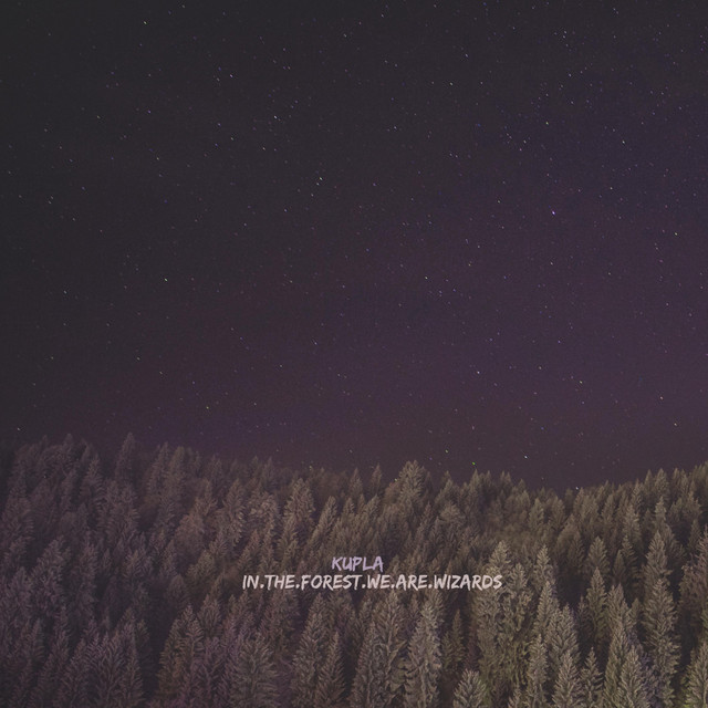 in.the.forest.we.are.wizards album cover