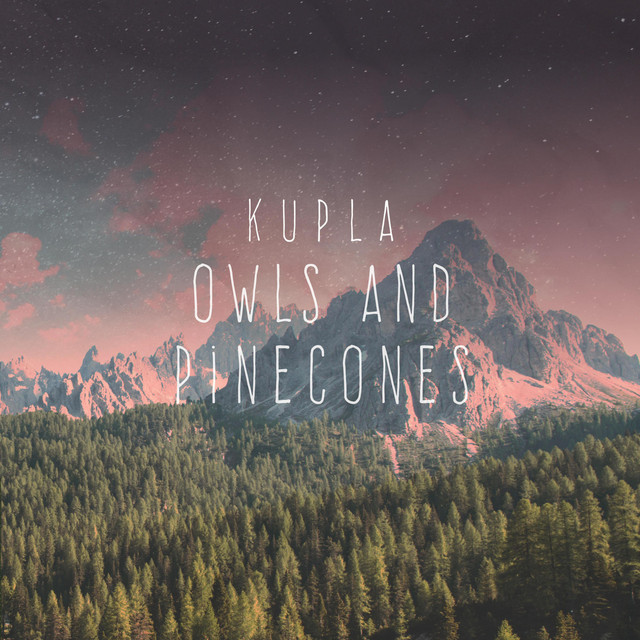 Owls and Pinecones album cover