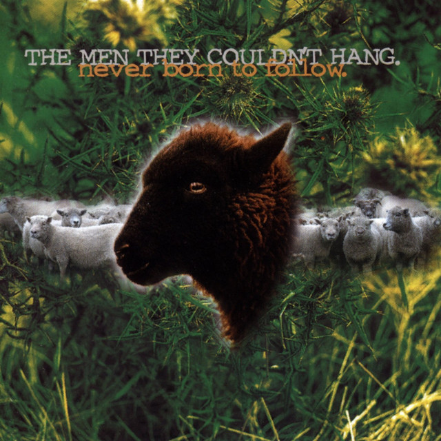 Never Born to Follow album cover