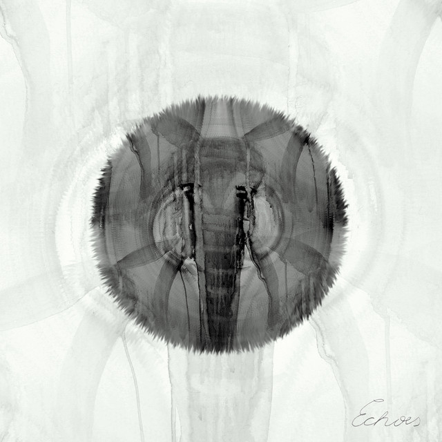 Expedition, Vol. 3 (Echoes) album cover