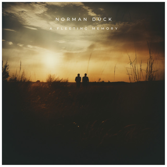 A Fleeting Memory album cover