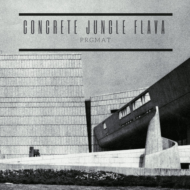 CONCRETE JUNGLE FLAVA album cover