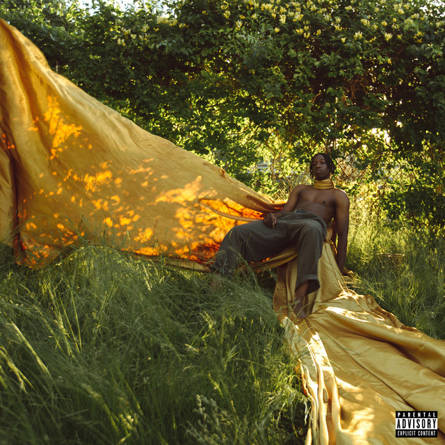 REBORN album cover