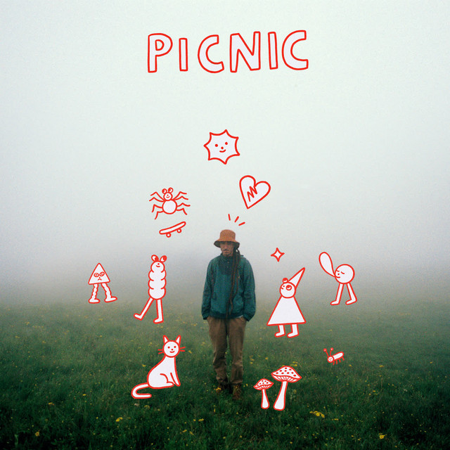 Picnic album cover